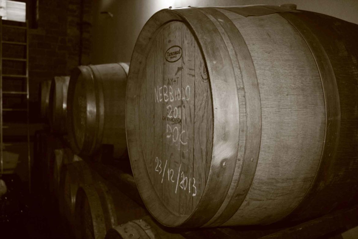 Botti-in-Cantina-Fontechiara.jpg