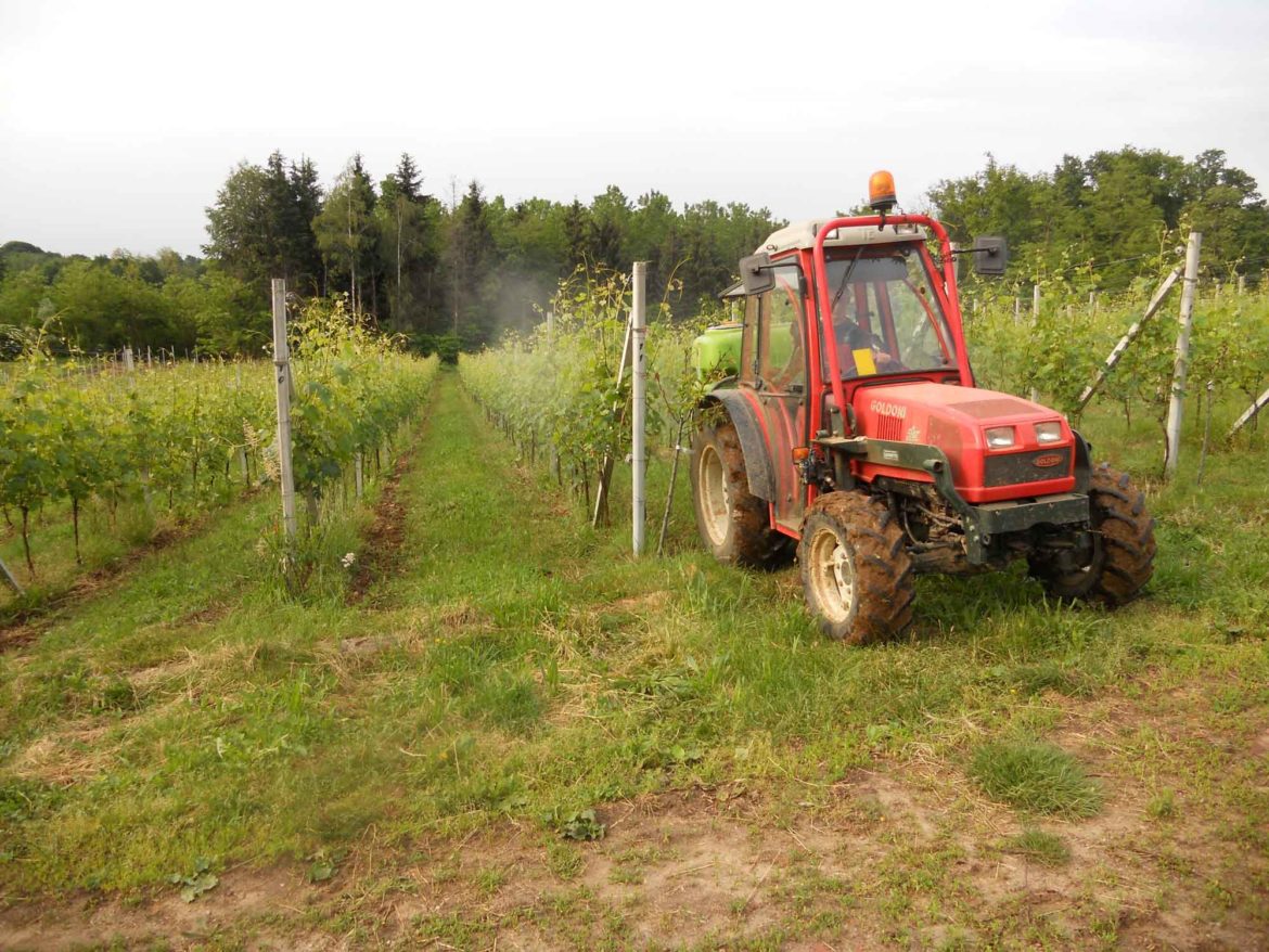 Lavori-in-vigna.jpg