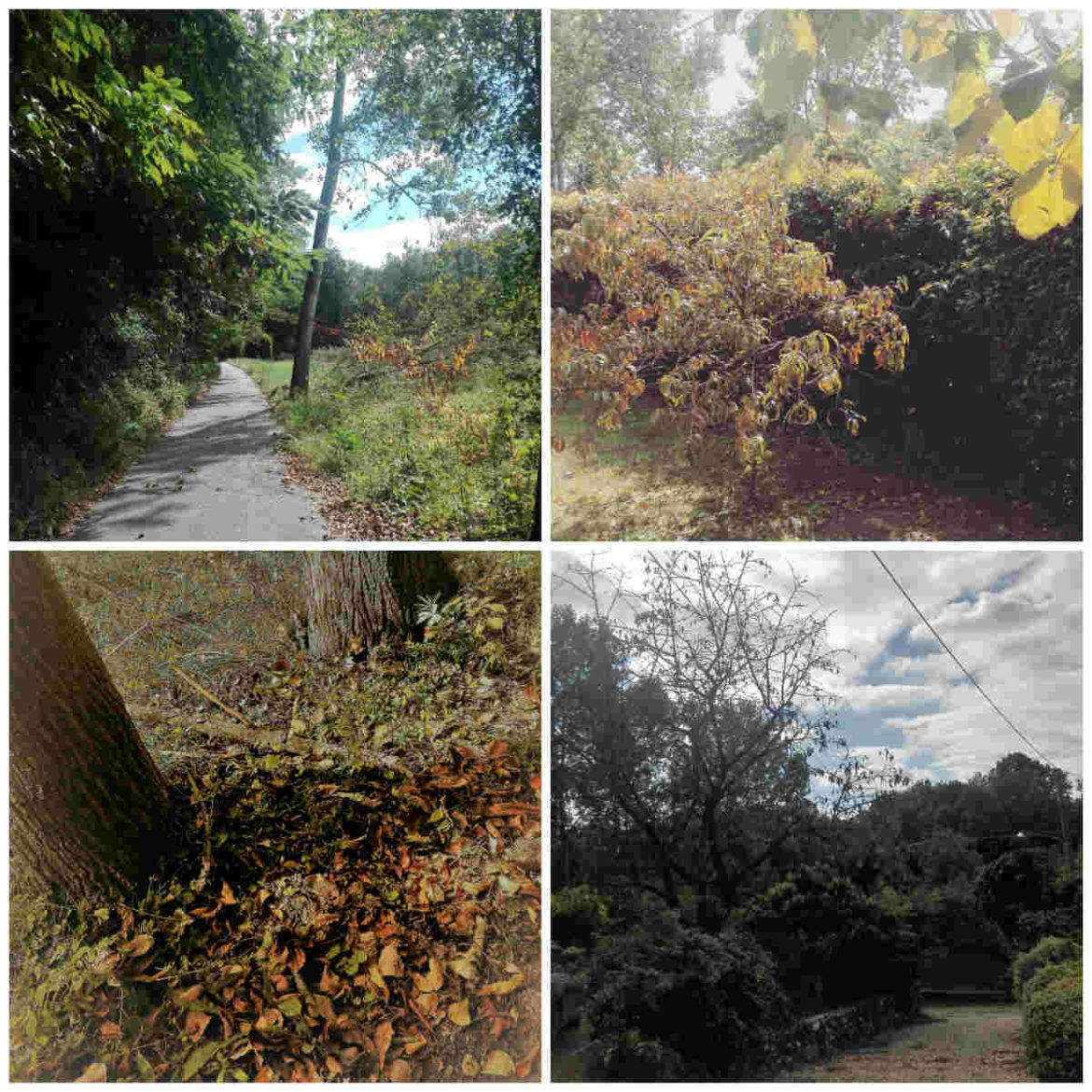 Autunno-Fontechiara.jpg