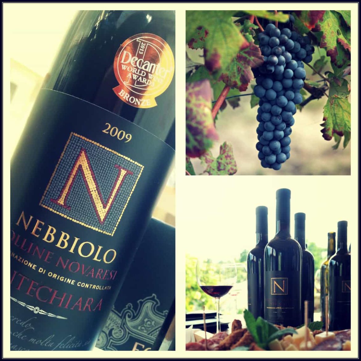Nebbiolo-e-uve-Fontechiara-min.jpg