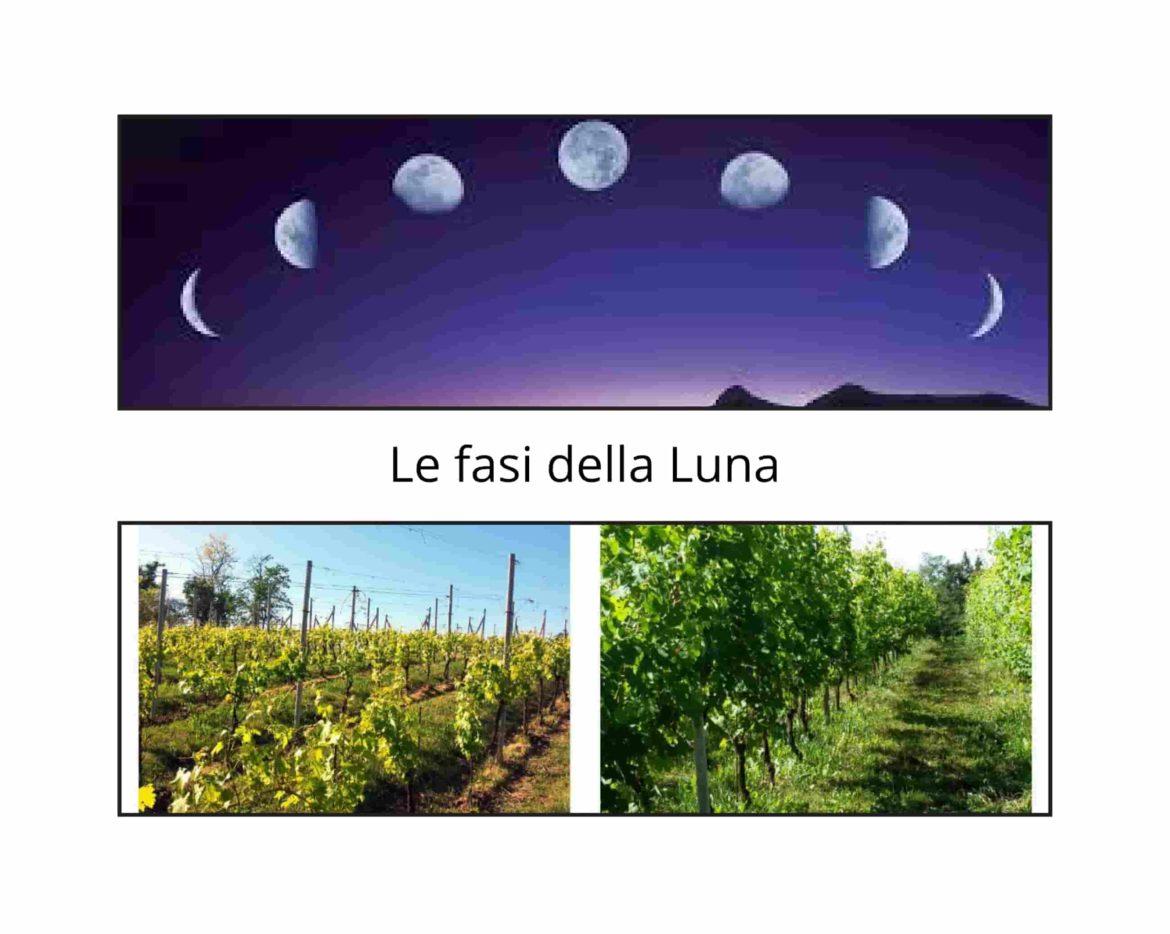 La-Luna-Fontechiara-min.jpg