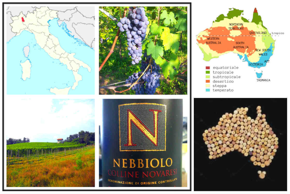 Nebbiolo-Fontechiara-Australia-min.jpg