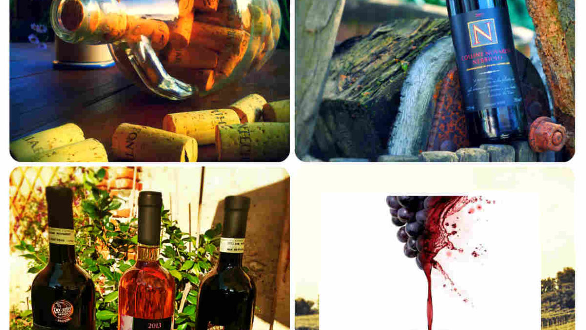 Semplicemente vino
