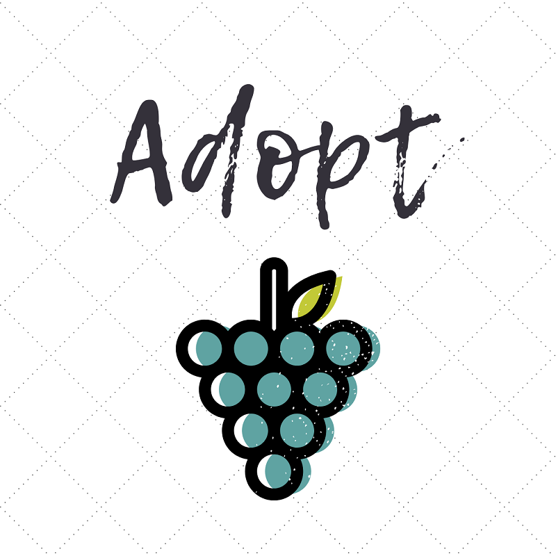 adopt1.png