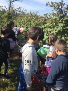 Bimbi in vigna