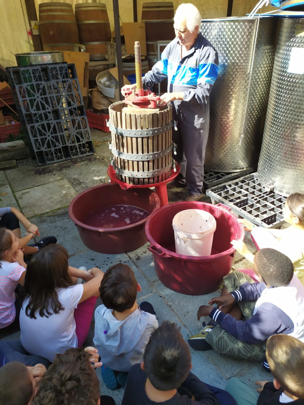7vendemmia-torchio3.jpg