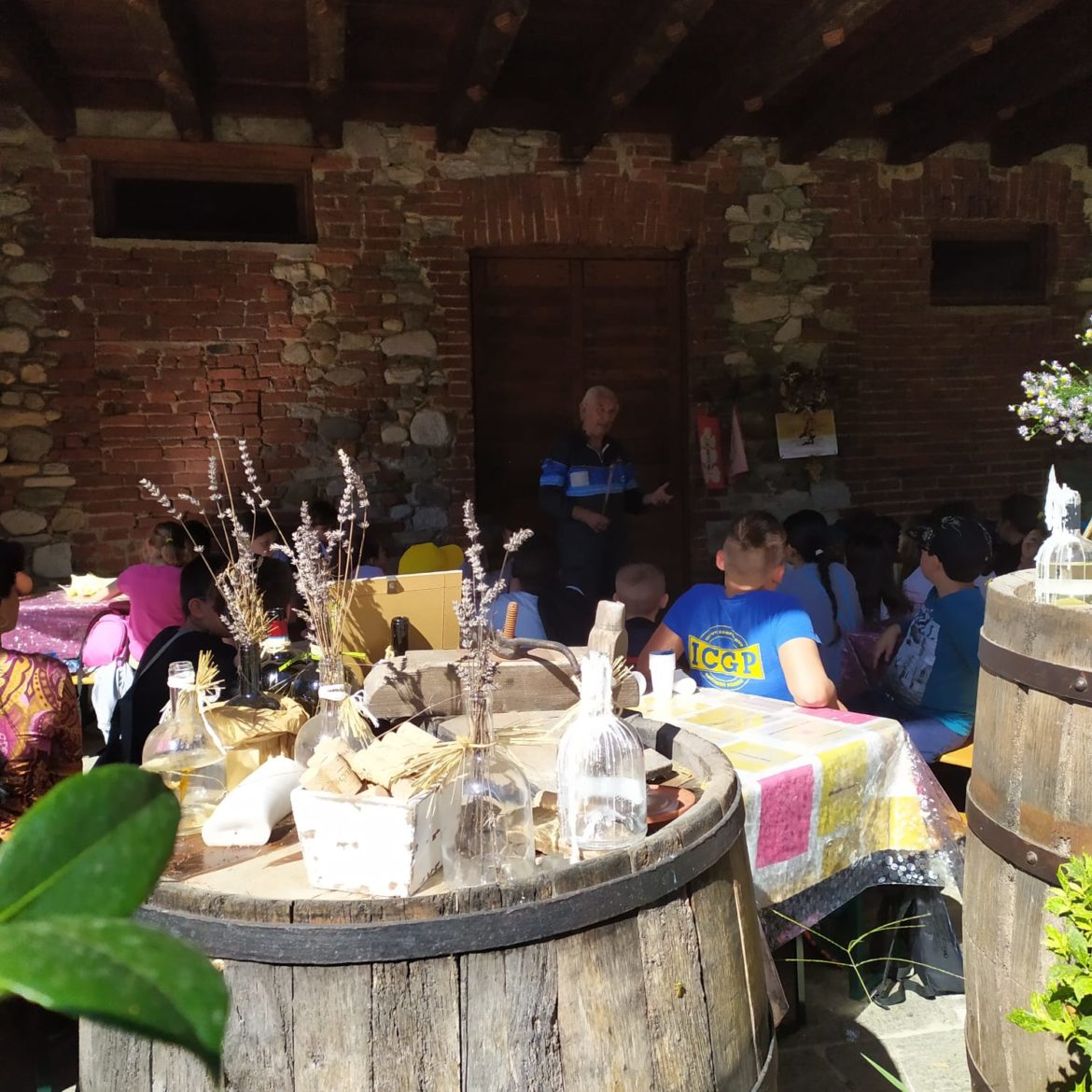 8vendemmia-cantina.jpg