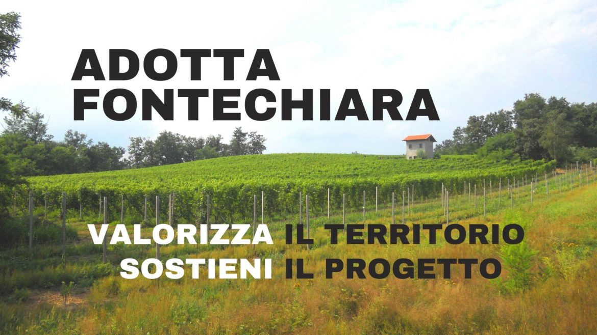 Copia-di-HEADER-SITO-18.jpg